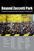 Beyond Zuccotti Park book cover