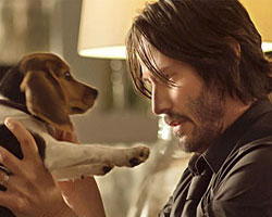 John Wick and beagle