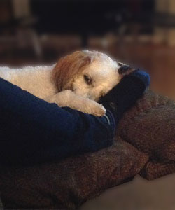 Molly and me chillin